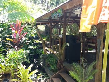 Alaya Escape - Northern Rivers Accommodation 55