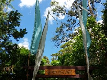 Alaya Escape - Northern Rivers Accommodation 56