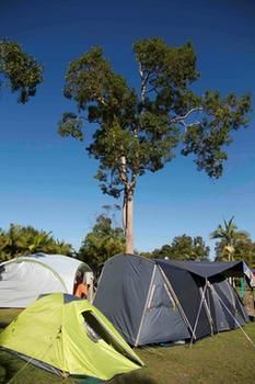 BIG4 Solitary Islands Resort - Caravan Park - Northern Rivers Accommodation 26