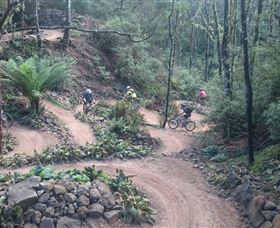 Brothers Town Cottage - Northern Rivers Accommodation 4