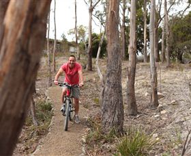 Tranquil Point Retreat - Northern Rivers Accommodation 1