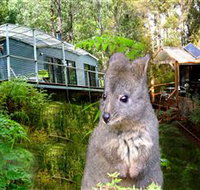 Huon Bush Retreats - Northern Rivers Accommodation