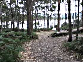 Camping At Bruny Island - Northern Rivers Accommodation 1