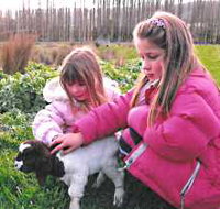 Huon Valley Caravan Park - Northern Rivers Accommodation