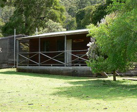 Wing's Wildlife Park (Accommodation) - Northern Rivers Accommodation 3