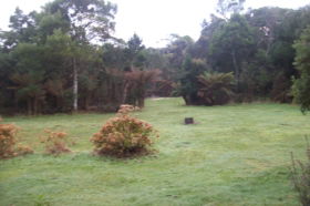 Macquarie Heads Camping Ground - Northern Rivers Accommodation 1