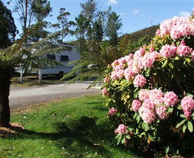 Zeehan Bush Camp  And Caravan Park - Northern Rivers Accommodation 0