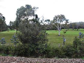 Bicheno Holiday Rentals - Hazards View Drive Coles Bay - Northern Rivers Accommodation 1