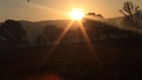 Gentle Annie Caravan And Camping Reserve - Northern Rivers Accommodation 1