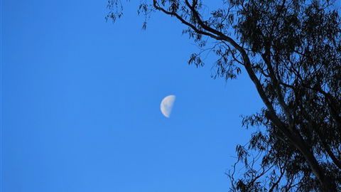 Gentle Annie Caravan And Camping Reserve - Northern Rivers Accommodation 4