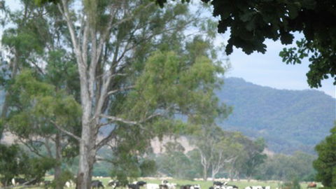 Gentle Annie Caravan And Camping Reserve - Northern Rivers Accommodation 3
