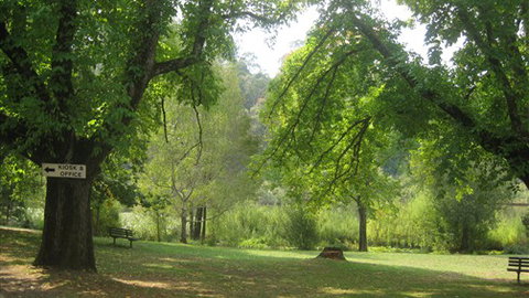 Jubilee Lake Holiday Park - Northern Rivers Accommodation 5