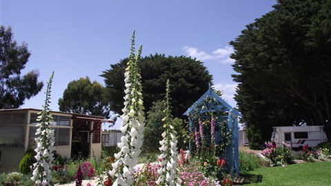 Colac Otway Caravan & Cabin Park - Northern Rivers Accommodation 1