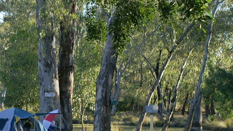 Numurkah Caravan Park - Northern Rivers Accommodation 2