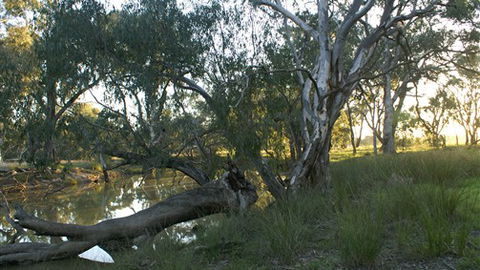 Numurkah Caravan Park - Northern Rivers Accommodation 5
