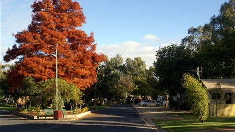 Numurkah Caravan Park - Northern Rivers Accommodation 6