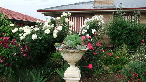 Admurraya House Bed And Breakfast - Northern Rivers Accommodation 5