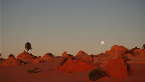 Mungo Lodge - Northern Rivers Accommodation 6