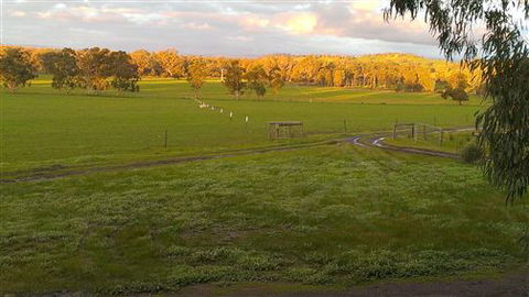 Rotherlea Lodge - Northern Rivers Accommodation 4