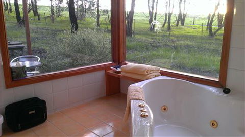 Rotherlea Lodge - Northern Rivers Accommodation 5