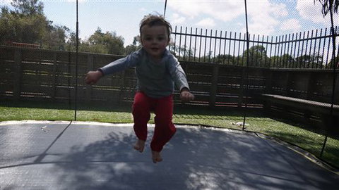 Amberlee Family Holidays - Northern Rivers Accommodation 1