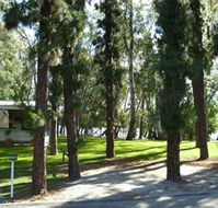 Barham Caravan  Tourist Park - Northern Rivers Accommodation