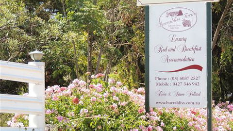 Burrabliss Bed And Breakfast - Northern Rivers Accommodation 6