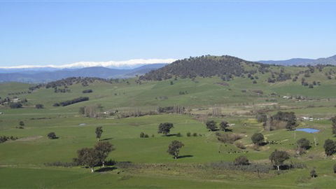 Rancho Relaxo - Northern Rivers Accommodation 0