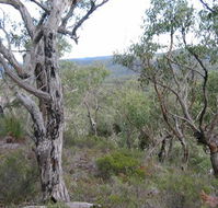The Glen - Northern Rivers Accommodation