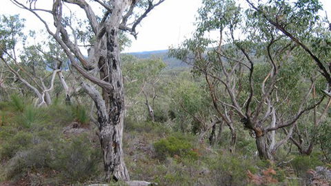 The Glen - Northern Rivers Accommodation 0