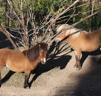 Cloud End Farmstay - Northern Rivers Accommodation
