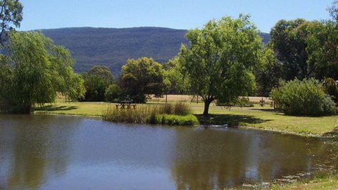 Halls Haven Resort - Northern Rivers Accommodation 4