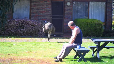 Halls Haven Resort - Northern Rivers Accommodation 7