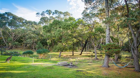 Serenity Halls Gap: Nat Park Frontage - Northern Rivers Accommodation 7