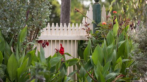 Muscat House - Northern Rivers Accommodation 6