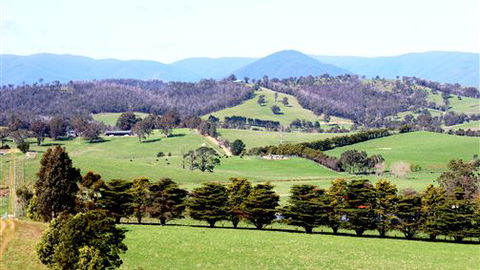 The Barn At Charlottes Hill - Northern Rivers Accommodation 7
