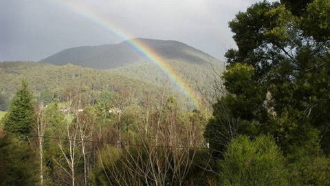 Wattletree Cottage - Northern Rivers Accommodation 0