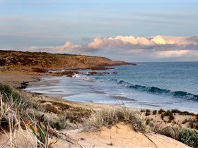 Hillocks Drive Bush Camping - Northern Rivers Accommodation 1