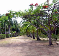 Alva Beach Tourist Park - Northern Rivers Accommodation