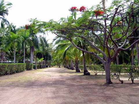 Alva Beach Tourist Park - Northern Rivers Accommodation 0