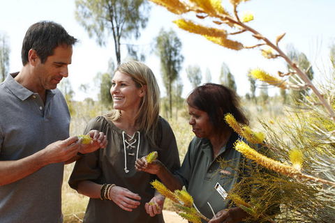 Ayers Rock Campground - Northern Rivers Accommodation 2