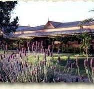 Bluebush Estate - Northern Rivers Accommodation