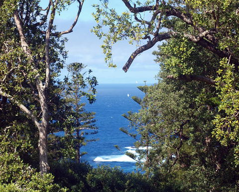 Bucks Point House - Northern Rivers Accommodation 3