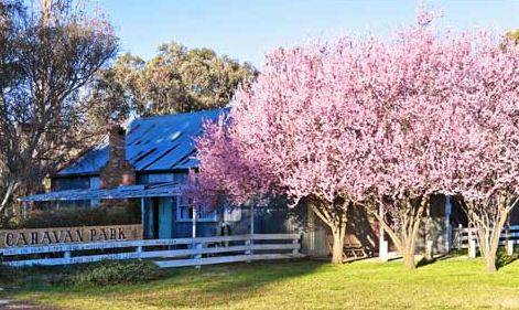 Bushlands Tourist Park - Northern Rivers Accommodation 3