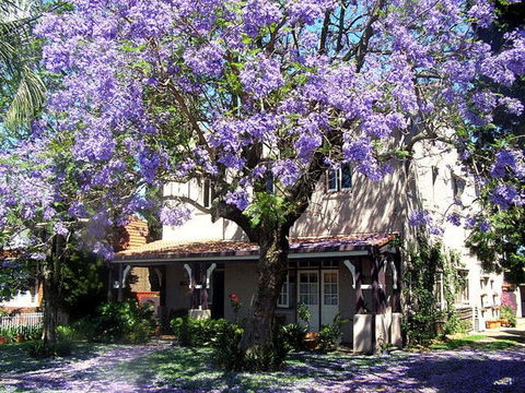 Callam Court - Northern Rivers Accommodation 0