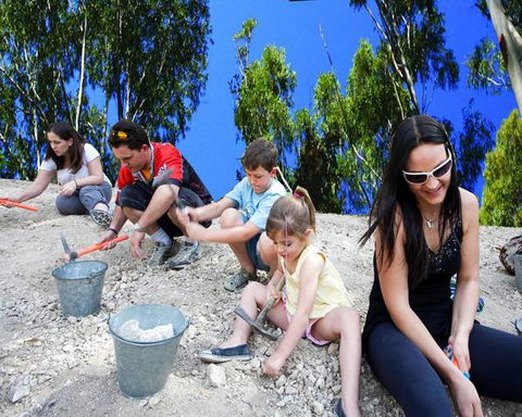 Cedar Creek Lodges At Thunderbird Park™ - Northern Rivers Accommodation 8
