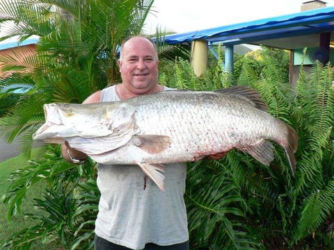 Conway Beach Tourist Park Whitsunday - Northern Rivers Accommodation 4