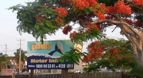 Pialba Motor Inn - Northern Rivers Accommodation 8