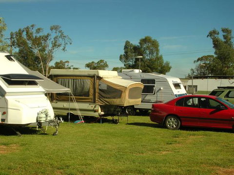 Crocodile Caravan  & Camping Park - Northern Rivers Accommodation 0