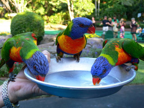 Currumbin Sands Beachfront Apartments - Northern Rivers Accommodation 1